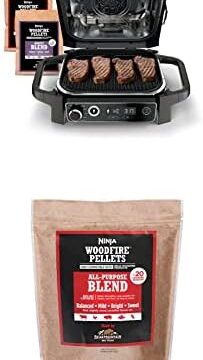 Best Electric Grills and Griddles Under $300 in 2026