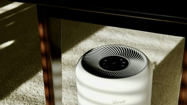 Air Purifier Filter: How Often to Replace It (And What the Gray Color Actually Means)