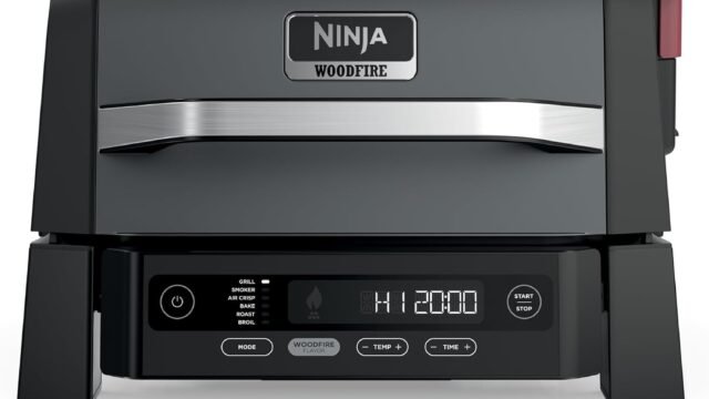 Best Electric Grills and Griddles Under $300 in 2026